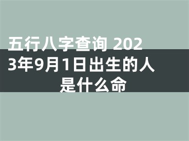 五行八字查询 2023年9月1日出生的人是什么命