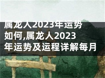 属龙人2023年运势如何,属龙人2023年运势及运程详解每月