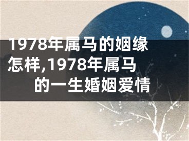 1978年属马的姻缘怎样,1978年属马的一生婚姻爱情