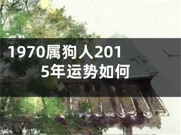 1970属狗人2015年运势如何