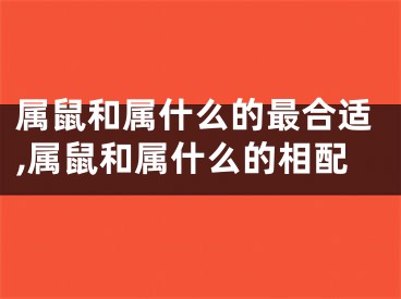 属鼠和属什么的最合适,属鼠和属什么的相配