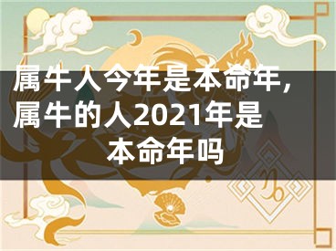 属牛人今年是本命年,属牛的人2021年是本命年吗