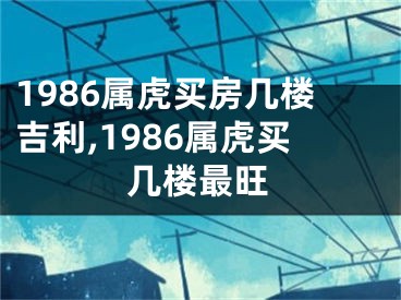 1986属虎买房几楼吉利,1986属虎买几楼最旺