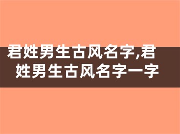 君姓男生古风名字,君姓男生古风名字一字