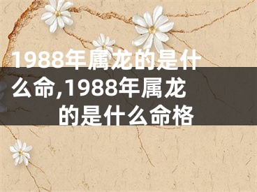 1988年属龙的是什么命,1988年属龙的是什么命格