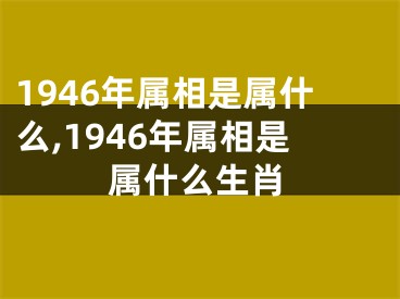 1946年属相是属什么,1946年属相是属什么生肖