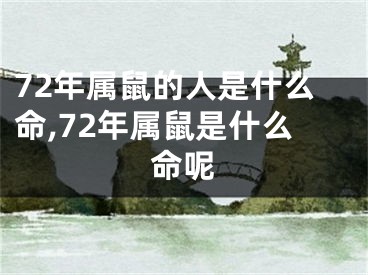 72年属鼠的人是什么命,72年属鼠是什么命呢