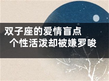 双子座的爱情盲点  个性活泼却被嫌罗唆