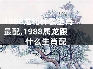 1988龙和什么生肖最配,1988属龙跟什么生肖配