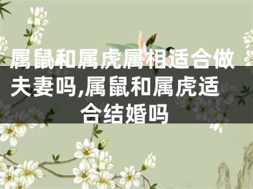 属鼠和属虎属相适合做夫妻吗,属鼠和属虎适合结婚吗