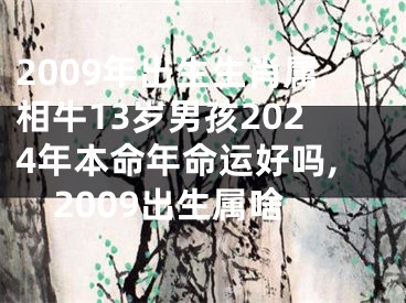 2009年出生生肖属相牛13岁男孩2024年本命年命运好吗,2009出生属啥