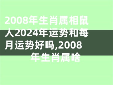 2008年生肖属相鼠人2024年运势和每月运势好吗,2008年生肖属啥