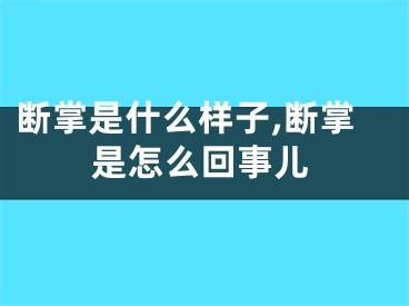 断掌是什么样子,断掌是怎么回事儿