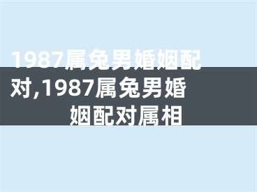 1987属兔男婚姻配对,1987属兔男婚姻配对属相