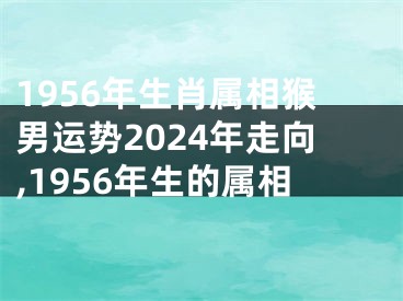 1956年生肖属相猴男运势2024年走向,1956年生的属相