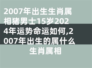 2007年出生生肖属相猪男士15岁2024年运势命运如何,2007年出生的属什么生肖属相