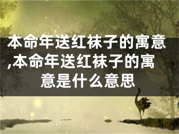 本命年送红袜子的寓意,本命年送红袜子的寓意是什么意思