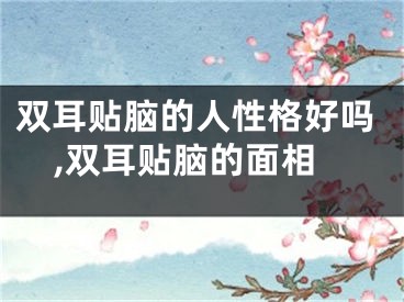 双耳贴脑的人性格好吗,双耳贴脑的面相