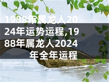 1988年属龙人2024年运势运程,1988年属龙人2024年全年运程