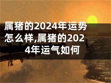 属猪的2024年运势怎么样,属猪的2024年运气如何