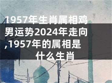 1957年生肖属相鸡男运势2024年走向,1957年的属相是什么生肖