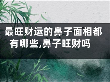 最旺财运的鼻子面相都有哪些,鼻子旺财吗