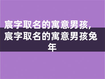 宸字取名的寓意男孩,宸字取名的寓意男孩兔年