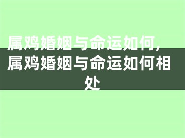 属鸡婚姻与命运如何,属鸡婚姻与命运如何相处