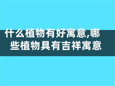 什么植物有好寓意,哪些植物具有吉祥寓意