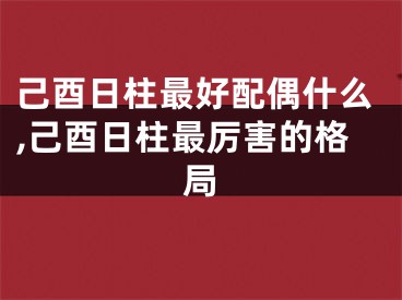 己酉日柱最好配偶什么,己酉日柱最厉害的格局