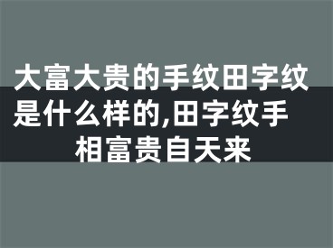 大富大贵的手纹田字纹是什么样的,田字纹手相富贵自天来