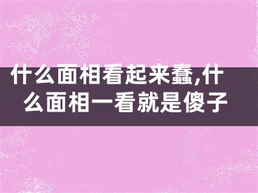 什么面相看起来蠢,什么面相一看就是傻子