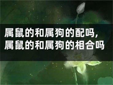 属鼠的和属狗的配吗,属鼠的和属狗的相合吗