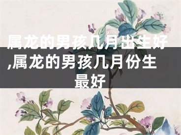 属龙的男孩几月出生好,属龙的男孩几月份生最好