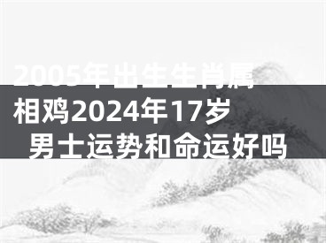 2005年出生生肖属相鸡2024年17岁男士运势和命运好吗