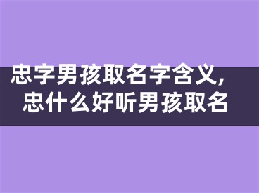 忠字男孩取名字含义,忠什么好听男孩取名