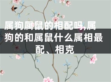 属狗属鼠的相配吗,属狗的和属鼠什么属相最配、相克