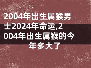 2004年出生属猴男士2024年命运,2004年出生属猴的今年多大了