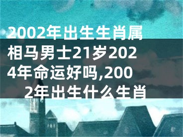 2002年出生生肖属相马男士21岁2024年命运好吗,2002年出生什么生肖