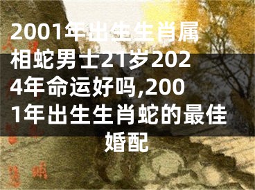 2001年出生生肖属相蛇男士21岁2024年命运好吗,2001年出生生肖蛇的最佳婚配