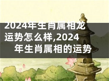 2024年生肖属相龙运势怎么样,2024年生肖属相的运势