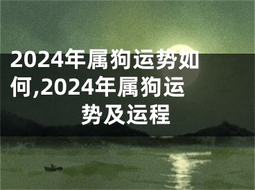 2024年属狗运势如何,2024年属狗运势及运程