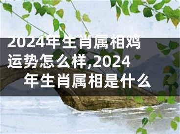 2024年生肖属相鸡运势怎么样,2024年生肖属相是什么