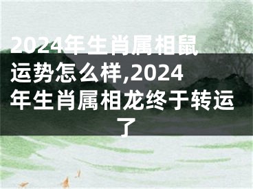 2024年生肖属相鼠运势怎么样,2024年生肖属相龙终于转运了