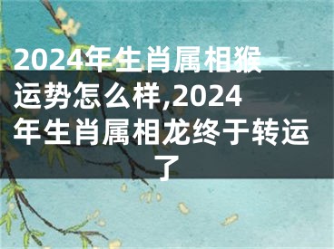 2024年生肖属相猴运势怎么样,2024年生肖属相龙终于转运了