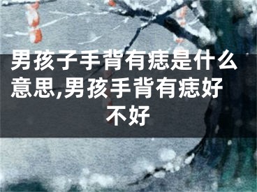 男孩子手背有痣是什么意思,男孩手背有痣好不好