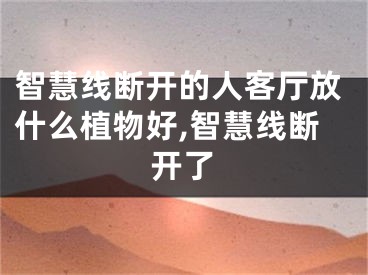 智慧线断开的人客厅放什么植物好,智慧线断开了