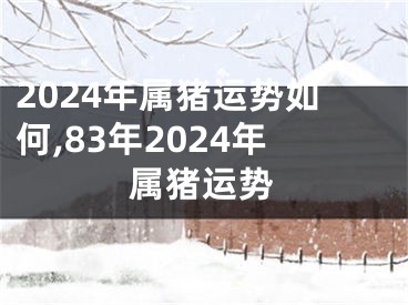 2024年属猪运势如何,83年2024年属猪运势