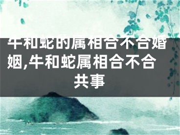 牛和蛇的属相合不合婚姻,牛和蛇属相合不合共事