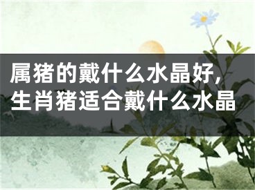 属猪的戴什么水晶好,生肖猪适合戴什么水晶